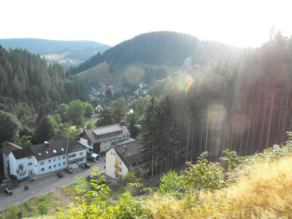 Apartment Sonnenhügel *
