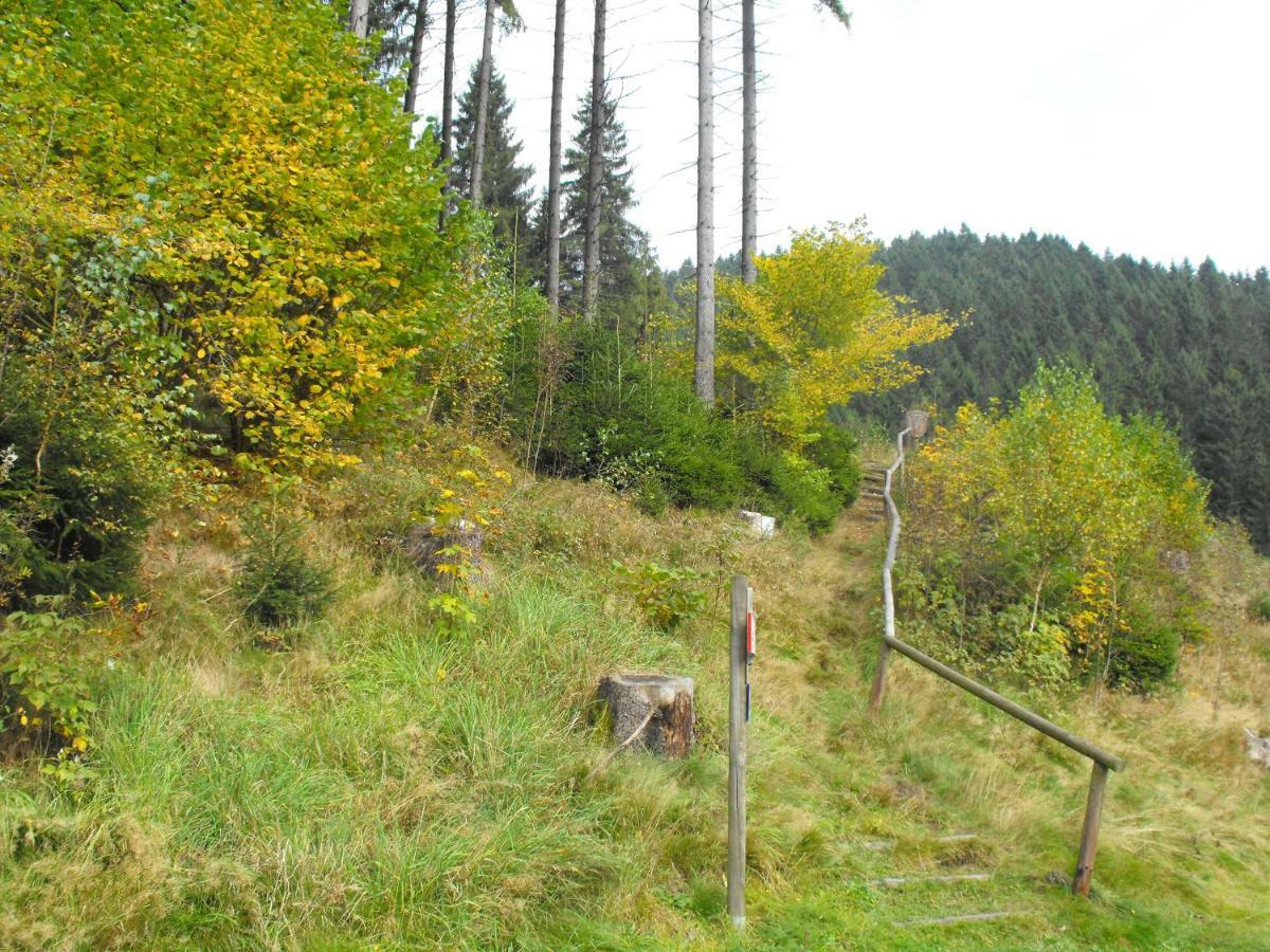 Sonnenhügel * Wildemann